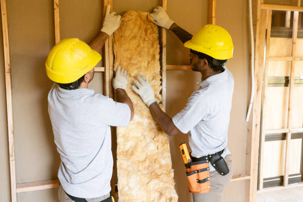 Professional Insulation Installation & Removal in Oak Ridge, FL